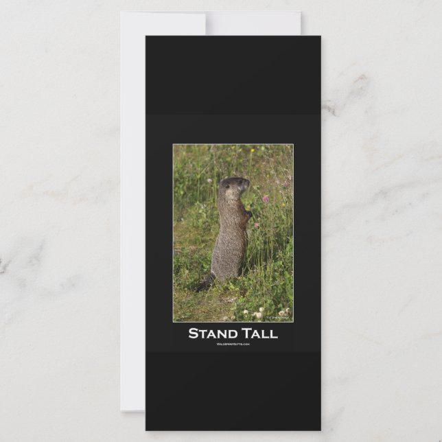Stand Tall Marmot Kaart (Voorkant)