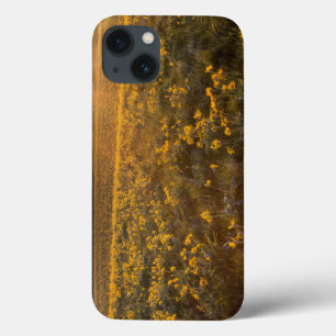 Stand van de wilde bloemen van Arrowleaf Balsamroo Case-Mate iPhone Case