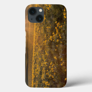 Stand van de wilde bloemen van Arrowleaf Balsamroo Case-Mate iPhone Case
