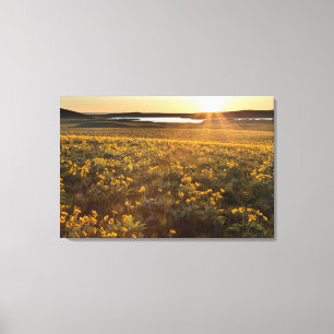 Stand van pijlbladige balsamwortel wilde bloemen canvas afdruk