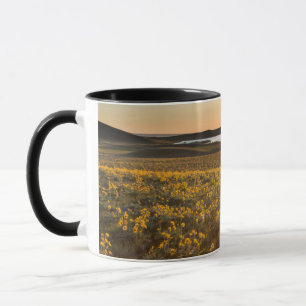 Stand van pijlbladige balsamwortel wilde bloemen mok