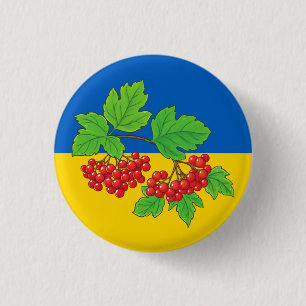 Stand van zaken met Oekraïne Button van Kalyna