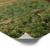 Stand van zwart Beer Poster (Hoek)