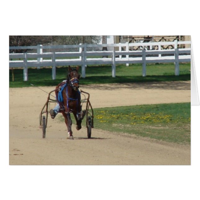 Standaard (Voorkant Horizontaal)