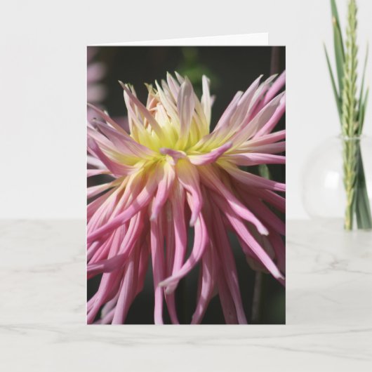 Standaard, 12,7 cm x 17,8 cm gevouwen Wenskaart Kaart (Voorkant)