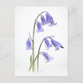 Standaard, 12.7 cm x 17.8 cm Vouwansichtkaart Briefkaart