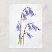 Standaard, 12.7 cm x 17.8 cm Vouwansichtkaart Briefkaart (Voorkant)