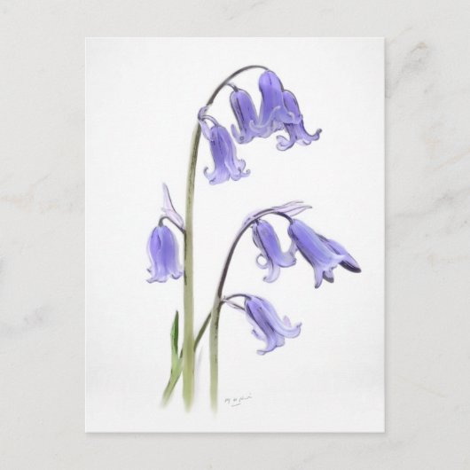 Standaard, 12.7 cm x 17.8 cm Vouwansichtkaart Briefkaart (Voorkant)