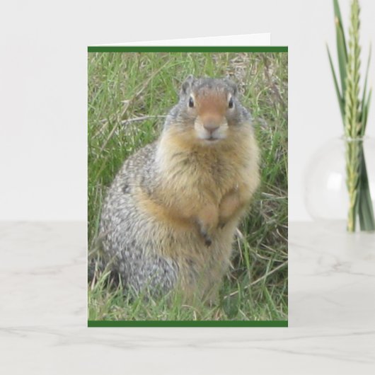 Standaard, 5 x 7 inch gevouwen Wenskaart Kaart (Voorkant)