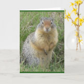 Standaard, 5 x 7 inch gevouwen Wenskaart Kaart (Gele Bloem)