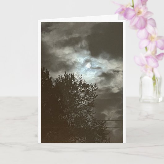 Standaard, 5" x 7" Vouwkaart Kaart (Orchidee)