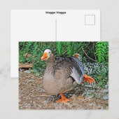 Standaard ansichtkaart briefkaart (Voorkant / Achterkant)