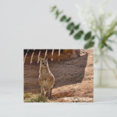 Standaard ansichtkaart briefkaart (Staand voorkant)