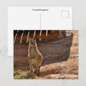 Standaard ansichtkaart briefkaart (Voorkant / Achterkant)