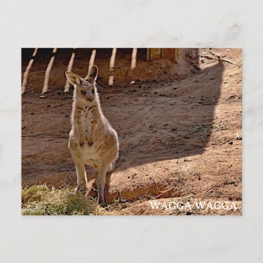 Standaard ansichtkaart briefkaart (Voorkant)