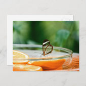 Standaard Briefkaart (Voorkant / Achterkant)