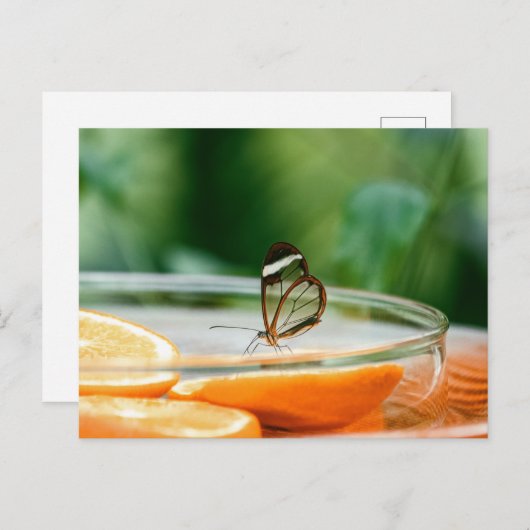 Standaard Briefkaart (Voorkant / Achterkant)