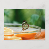 Standaard Briefkaart (Voorkant)