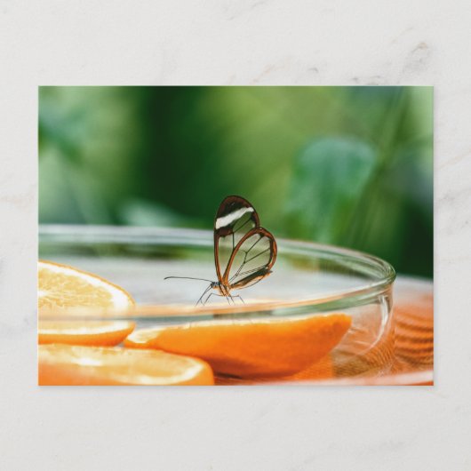 Standaard Briefkaart (Voorkant)