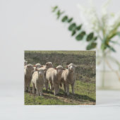 Standaard briefkaart (Staand voorkant)