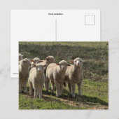 Standaard briefkaart (Voorkant / Achterkant)