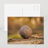 Standaard Briefkaart (Voorkant / Achterkant)
