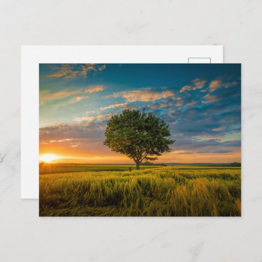 Standaard Briefkaart (Voorkant / Achterkant)