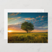 Standaard Briefkaart (Voorkant / Achterkant)