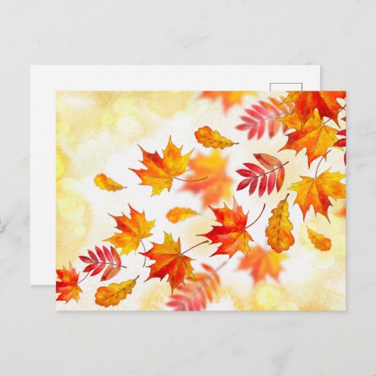 Standaard Briefkaart (Voorkant / Achterkant)