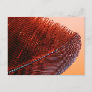 Standaard Briefkaart