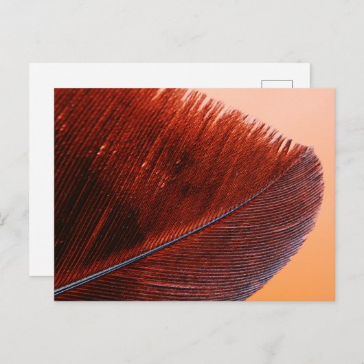 Standaard Briefkaart (Voorkant / Achterkant)