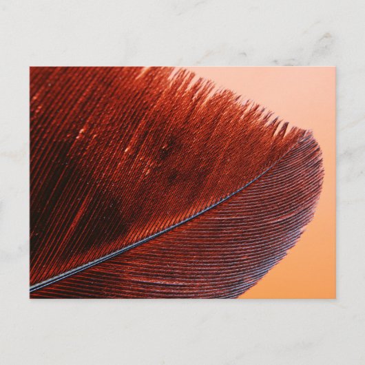 Standaard Briefkaart (Voorkant)