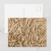Standaard Briefkaart (Voorkant / Achterkant)