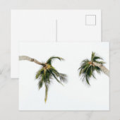Standaard Briefkaart (Voorkant / Achterkant)