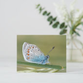 Standaard Briefkaart (Staand voorkant)