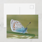 Standaard Briefkaart (Voorkant / Achterkant)