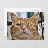 Standaard Briefkaart (Voorkant / Achterkant)