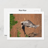 Standaard briefkaart (Voorkant / Achterkant)