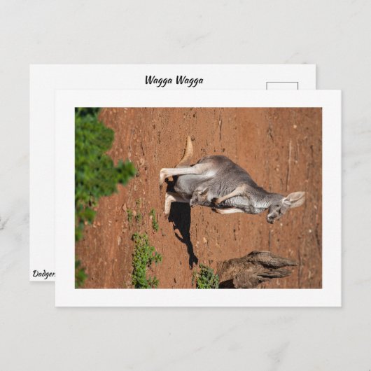 Standaard briefkaart (Voorkant / Achterkant)