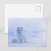 Standaard Briefkaart (Voorkant / Achterkant)