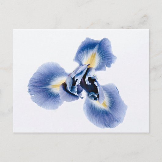 Standaard Briefkaart (Voorkant)