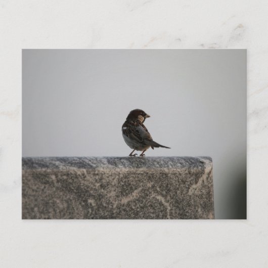 Standaard Briefkaart (Voorkant)