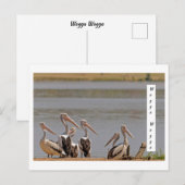 standaard briefkaart (Voorkant / Achterkant)