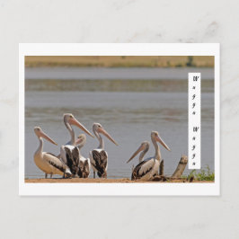 standaard briefkaart