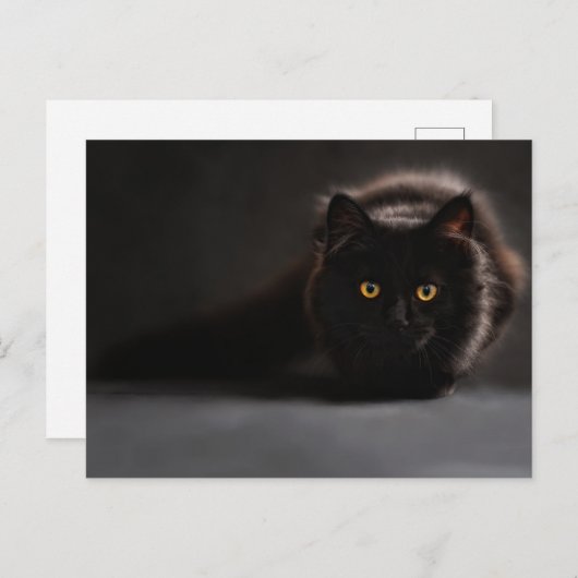 Standaard Briefkaart (Voorkant / Achterkant)