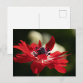 Standaard Briefkaart (Voorkant / Achterkant)