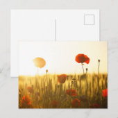 Standaard Briefkaart (Voorkant / Achterkant)