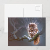 Standaard Briefkaart (Voorkant / Achterkant)