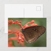 Standaard Briefkaart (Voorkant / Achterkant)