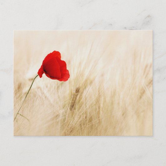 Standaard Briefkaart (Voorkant)